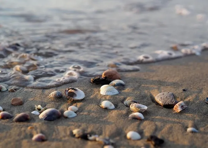 公寓 Discover Tranquility In Our Cozy Flat 比比翁